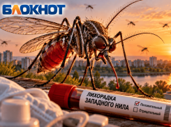 27 жителей Волгоградской области заболели лихорадкой Западного Нила