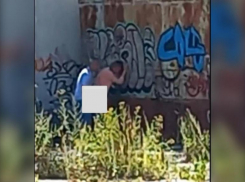 В Волжском парочку застукали на улице за интимным занятием: фото