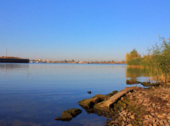 Волжане могут принять участие в фотоконкурсе «Пока мы дома»