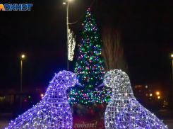 Молодежная елка в Волжском: теплый вечер, общение и рождественское настроение