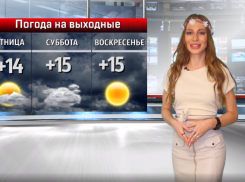 Солнечно и безветренно: какими запомнятся выходные ненасилия в Волжском
