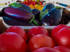 В регионе собрано более шестисот тысяч тонн урожая