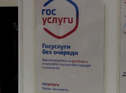 Сайт госуслуг упростил жизнь водителям Волжского