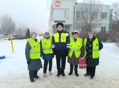 ГАИ Волжского и «серебряные» волонтеры объединились для безопасности пешеходов