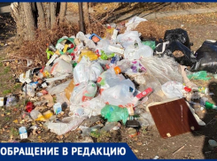 В старой части Волжского образовался мусорный коллапс: фото