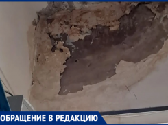 «Может произойти обрушение»: волжане боятся выходить из подъезда из-за гниющих от протечки крыши стен