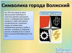 В Волжском прошла VII дистанционная конференция
