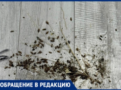 Деменция и запущенная квартира: соседи опасаются за жизнь пенсионерки и всего дома в Волжском