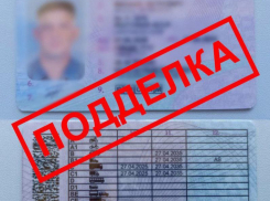 Купил «права» за 32 000: в Волжском задержали водителя «Нивы» с поддельным удостоверением