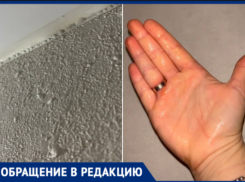 «Мы живем не в Африке»: в Волжском жильцы замерзают в сырости, а УК советует «ждать до весны»