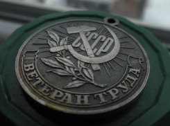 Ветеранам труда в Волжском доплатят почти 600 рублей