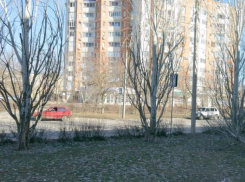 Нелепый пешеходный переход в Волжском упирается в зеленую зону