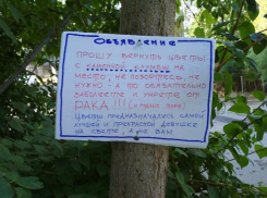 Угрожающее послание ворам оставили волжские садовники, из-за которых пропали редкие цветы