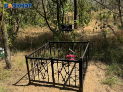 Волжане просят организовать проверку человеческой могилы посреди города