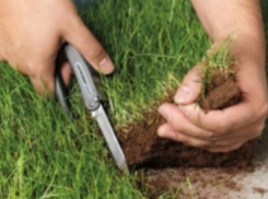 В Среднеахтубинской пойме продают участок