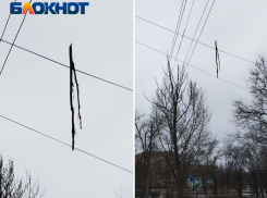 Большая ветка вторую неделю свисает с проводов над пешеходной дорожкой в Волжском
