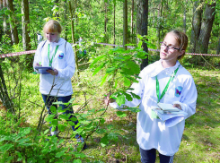 Экологи учат школьников Волжского природолюбию