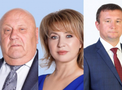 Пыльнев, Бухтина и Струк: узнали у депутатов облдумы о планах на выборы в Госдуму на 2021 год