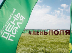 Автобусы-шаттлы будут перевозить волжан на День поля