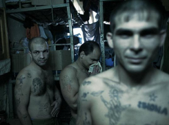 В Волгоградской области от отбывания наказания освободили 443 преступника