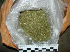 Волжанин разгуливал со свертком марихуаны за пазухой