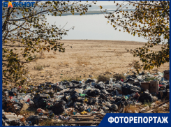 Волжане среди отходов - на месте городского пляжа теперь свалка