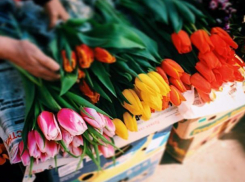 В Волжском взлетели цены на цветы к 8 марта: красавицы-розы по 160 рублей, грациозные тюльпаны по 70