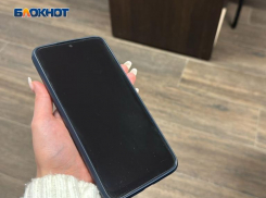 Каждый десятый опрошенный волжанин поддается фейковым пугалкам в сети