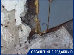 «Стены девятиэтажного дома кишат тараканами», - волжанка