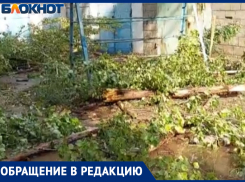 Десятки сухих веток обрушились в Волжском: видео