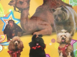 Зрители угрожали сжечь цирк-шапито в Волжском из-за отмененного представления