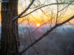 Погоду в день мятного шоколада волжанам подсластит утром солнышко