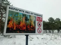 Волгоградская область усиливает противопожарную готовность к 2026 году