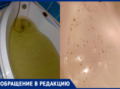 В одной из волжских квартир вместо кипятка — болотная тина