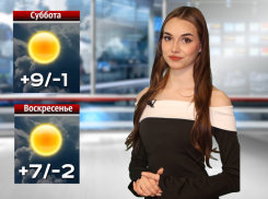 Праздничное солнце: Диана Недишова рассказала, какая погода ждет волжан на 8 марта