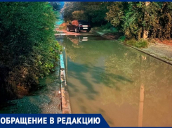«Лужи по колено, а дорожки заросли ветками», - волжанка о последствиях ливня