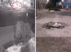 Пиромана, который чуть не спалил всю Фонтанку, поймали в Волжском: ВИДЕО