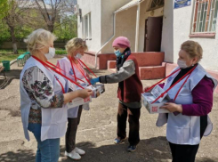В Волжском стартовала Всероссийская акция «Красная гвоздика»