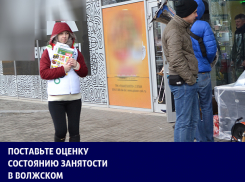 Липовые конторы и безработица среди молодежи: итоги года-2017