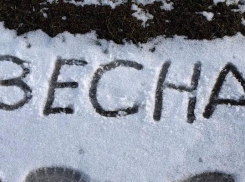 В первую неделю весны в Волжском будет теплая погода