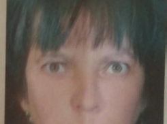 Собралась в Волжский и пропала: женщина с собакой исчезла в Волгоградской области