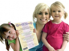 На что волжане тратят материнский капитал рассказали в пенсионном фонде 