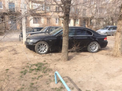 Из-за равнодушия властей наш двор превратился в круглосуточную бесплатную стоянку, - волжанка Дина Туровская 