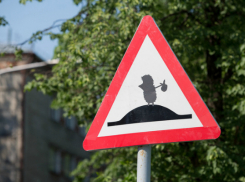 Школьники Волжского придумают новый дорожный знак