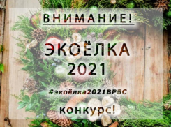 Волжан приглашают принять участие в конкурсе «Экоелка 2021»