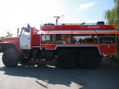Более 27 миллионов рублей направят на покупку лесопожарной техники для региона