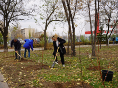 В Волжском облагородили участок близ больницы имени Фишера