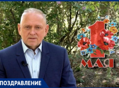 Глава Волжского Игорь Воронин поздравил жителей с 1 мая