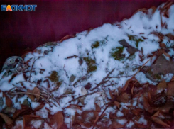 Снежная зима придет в Волжский в воскресенье: прогноз погоды 