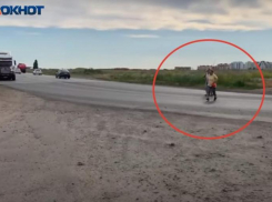 Чиновники Волжского и области запутались в картах и скидывают друг на друга ответственность за СНТ «Тюльпан»